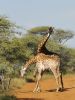 IMG 20210118 WA0009