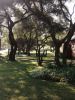 IMG 20210309 WA0004