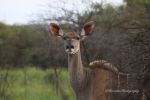 IMG 7549